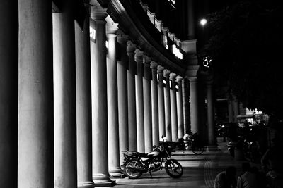 Row of trees in the dark