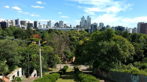Trees and plants in park against buildings in city