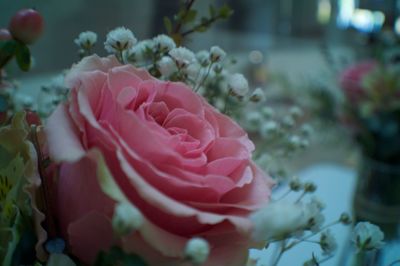 Close-up of pink rose bouquet