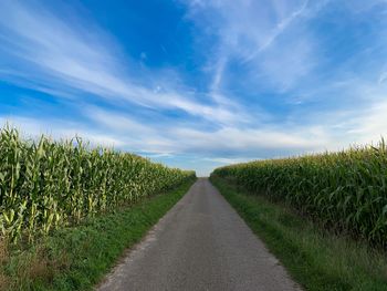 Road amidst field against sky