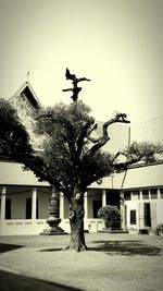 View of built structure with trees in background
