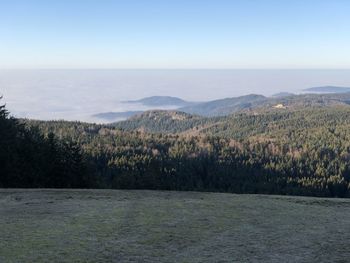 Scenic view of landscape against clear sky