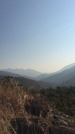 Scenic view of landscape against clear sky