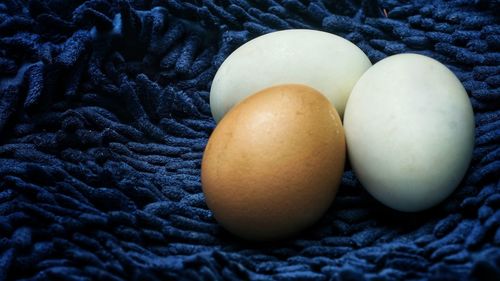 High angle view of eggs in container