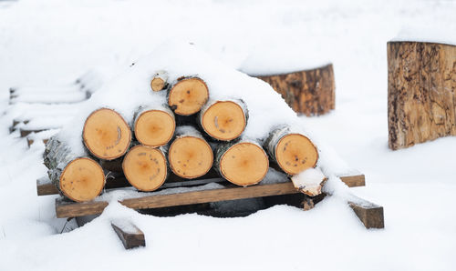 Close-up of logs on snow