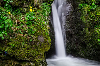 View of waterfall in forest