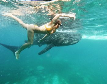 Woman swimming by fish in sea