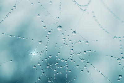 drop