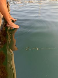 Low section of woman in lake