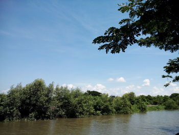 Scenic view of lake in forest against sky