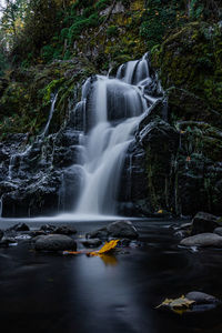 View of waterfall in forest