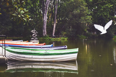 Statue of boat in water