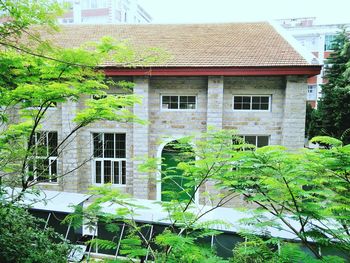 View of house and trees