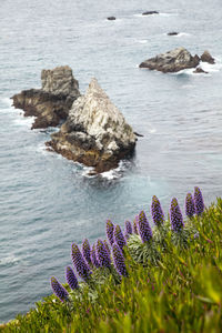 Scenic view of rocks by sea