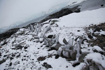 Scenic view of snow covered mountains