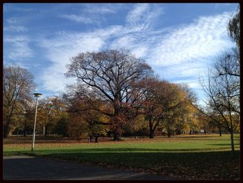 Bare trees on grassy field against cloudy sky