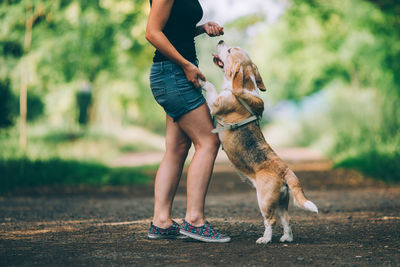 Low section of woman with dog