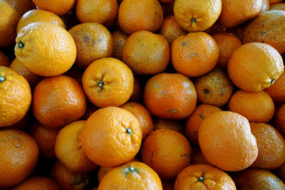 Full frame shot of oranges