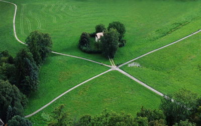 High angle view of man on tree