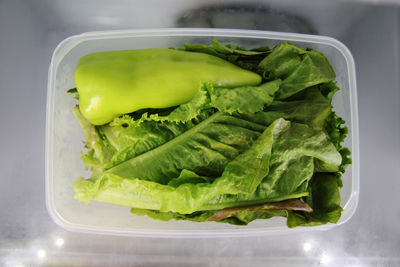 High angle view of green leaf on table