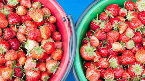 High angle view of strawberries in container