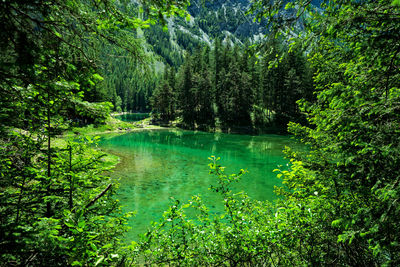 Scenic view of lake