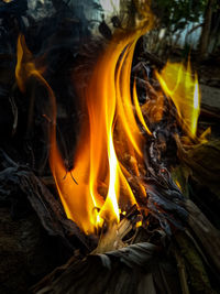 Close-up of fire in the dark