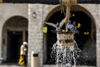 Close-up of fountain