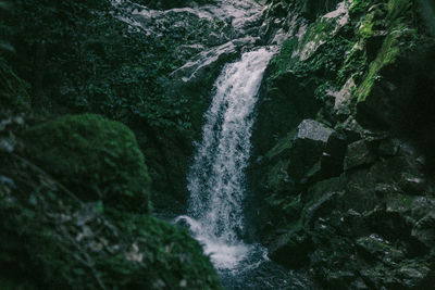 Scenic view of waterfall in forest