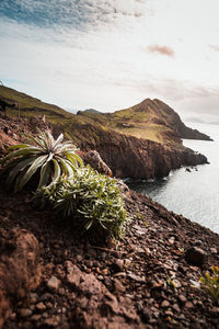 Scenic view of rocks by sea against sky