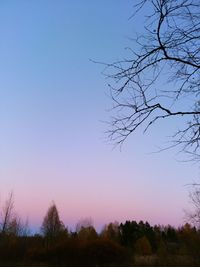 Silhouette trees on field against clear blue sky