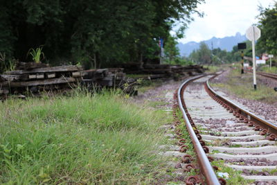 View of railway tracks along trees