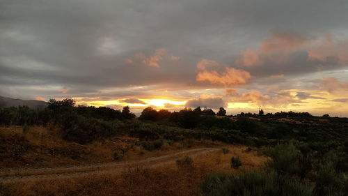 Scenic view of field against sky during sunset