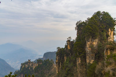 Trees on mountain against sky