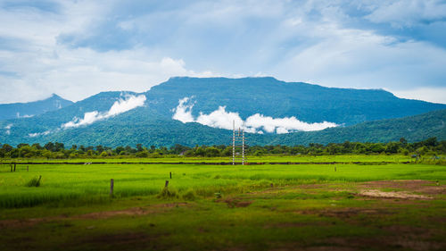 Scenic view of field against sky