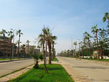 Road amidst trees and buildings against sky