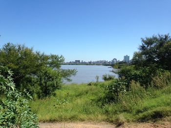 Scenic view of river against clear blue sky