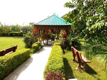 Gazebo in park