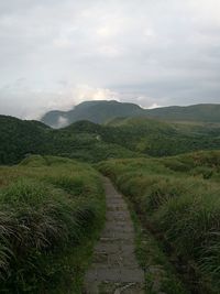 Scenic view of green landscape against sky