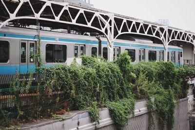 Built structure with trees in background