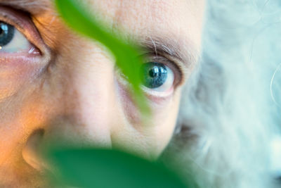 Close-up of human eye