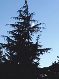 Low angle view of silhouette tree against clear blue sky