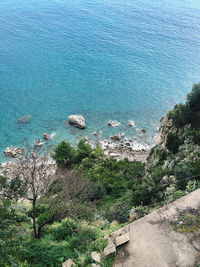 High angle view of trees by sea