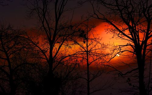 Silhouette bare trees against romantic sky at sunset