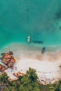 High angle view of plants on beach