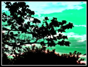 Low angle view of trees against cloudy sky