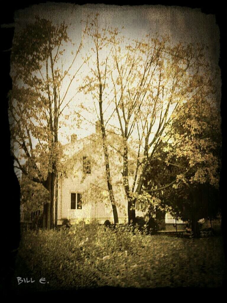 architecture, built structure, building exterior, transfer print, tree, auto post production filter, house, bare tree, branch, sky, growth, day, old, low angle view, nature, no people, outdoors, clear sky, history, window