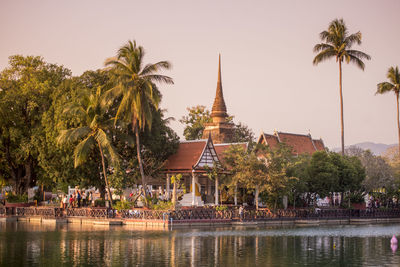 Palm trees in temple against building