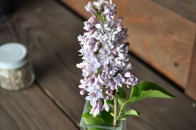 Close-up of purple flower in vase