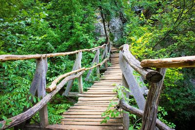 Wooden bridge in forest